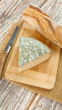 French cheese: Saint-Nectaire farmhouse, close-up, on a cutting board clipart