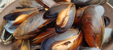 Haşlanmış midyeler, yakın plan, tabakta.