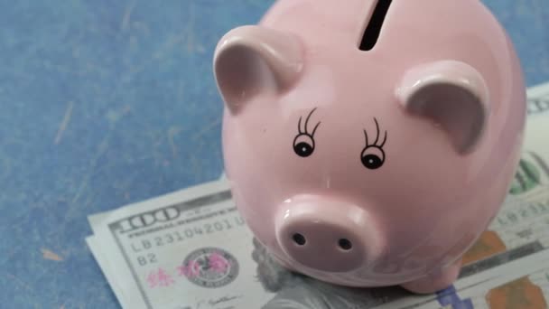 Piggy Bank Dollars Close — Stock Video