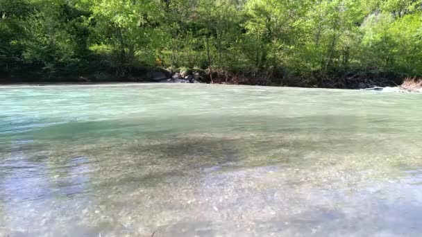 Widok Przezroczystej Wody Rzeki — Wideo stockowe