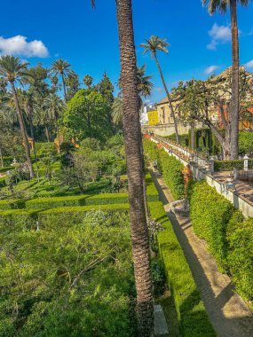 Seville, Endülüs, İspanya - 04212024: Casa de Pilatos 'un mimari ve bahçeleri, Sevilla, İspanya