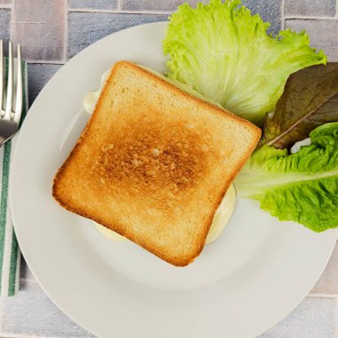 Peynirli tost, yakın plan, tabakta.