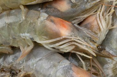 Çiğ karides, yakın plan, tabakta.