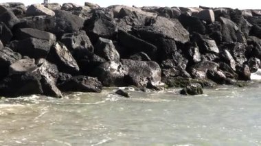 Dalgalar, Kaptan d 'Agde' de bir sahilde kayalara çarpıyor..