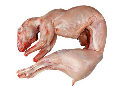 Tüm tavşan leşi pişmeye hazır, beyaz bir arka planda izole edilmiş.