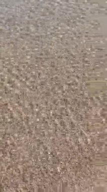 Kumlu bir zeminde sığ alan derinliğinde su dokusu