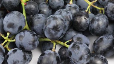 Bir demet siyah üzüm, yakın plan, beyaz arka planda izole edilmiş.