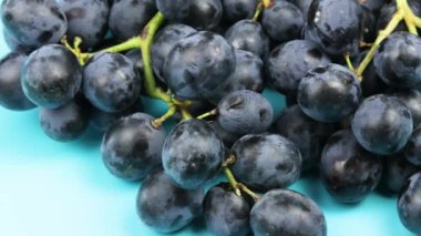 Bir demet siyah üzüm, yakın plan, mavi arkaplanda.