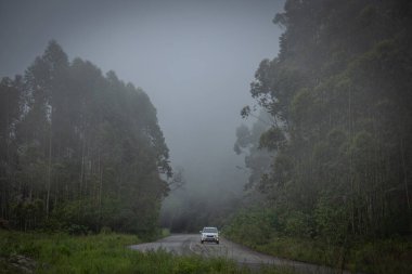 Bir dağ yolunda sis