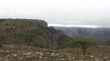 Şelale, Berlin Şelalesi, Manzaralı Yol, mpumalanga, Güney Afrika, güzel doğa, seyahat cazibesi, Afrika manzarası