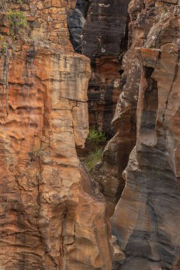 Manzaralı sürüş, Mpumalanga, Güney Afrika, Güzel doğa, seyahat cazibesi, Afrika manzarası