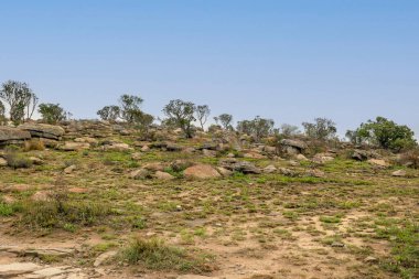 Güney Afrika 'daki siste Blyde Nehri Kanyonu