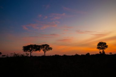 Güney Afrika Kruger Ulusal Parkı 'nda gün doğumu