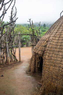 Mantenga Kültür Köyü, Ezulwini Vadisi, Svaziland - 11102024: Eswatini Kültür Köyünde Geleneksel Kulübe