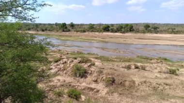 nehir Kruger National park, Güney Afrika