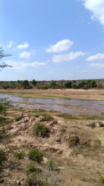 nehir Kruger National park, Güney Afrika