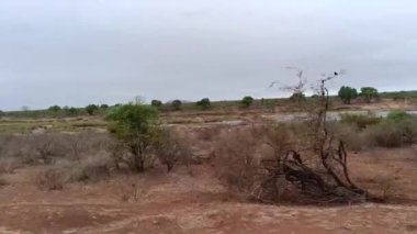 nehir Kruger National park, Güney Afrika