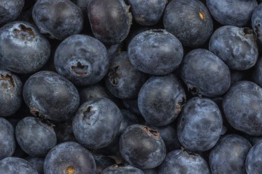 Yaban mersini yığını, kapat.