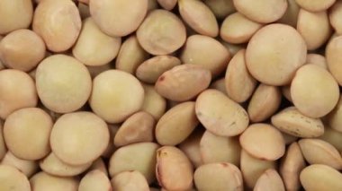 Çiğ sarı mercimek, yakın çekim.