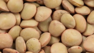 Çiğ sarı mercimek, yakın çekim.