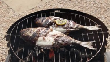 Barbeküde ızgara deniz çerezi, yakın plan..
