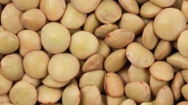 Çiğ sarı mercimek, yakın çekim.