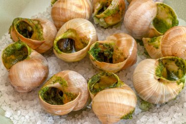 Bir düzine salyangoz, yakın plan, tabakta.