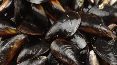 Ham midyeler, üst görünüm, kapatın.