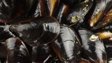 Ham midyeler, üst görünüm, kapatın.