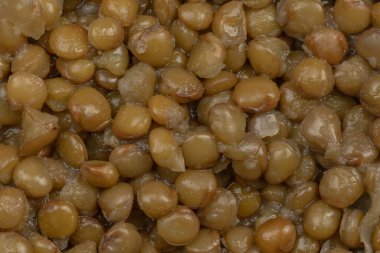 Bir tabak pişmiş mercimek, yakın plan.