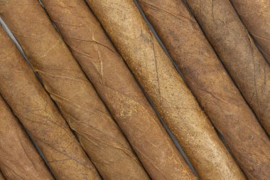 Birkaç küçük puro, yakın plan.