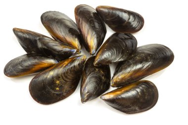 Ham midyeler izole, üst görünüm, yakın çekim