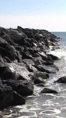 Sahilde bir kaya dubası