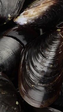 ham midyeler, üst görünüm, yakın çekim.