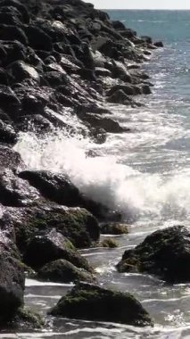 Sahilde bir kaya dubası