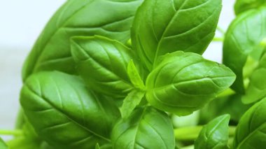 Bir demet fesleğen, yakın plan, masanın üstünde.