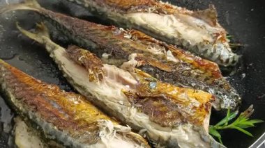 Tavada pişirilmiş uskumru fileto.