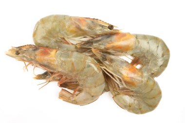 Çiğ büyük karides, yakın plan, beyaz arka planda izole edilmiş.