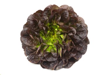 Kırmızı marul salatası, beyaz arka planda izole edilmiş üst manzara.