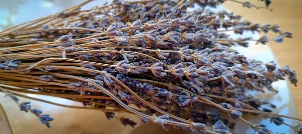 Kurutulmuş lavanta buketi, yakın plan..