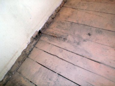 Bir bina ve bina yapısının yeniden canlandırılması, inşaat çalışmaları ve korunması