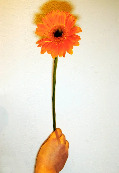 Квітковий Або Квітковий Символ Декоративних Цілей Краси — стокове фото