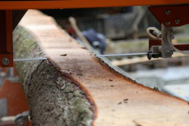 Ahşap endüstrisinde depolama ve işleme için mobil bir kereste fabrikası.