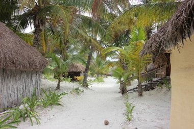 Tropiklerin ve tatillerin sembolü olarak palmiye ağaçları