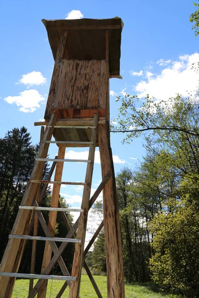 Tree Stand Raised Blind Used Hunters Forestry — Foto Stock