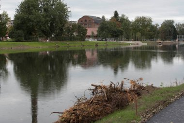 Hasarlı veya tahrip edilmiş ekosistemlerdeki mimari tarafından yenilenme veya ekolojik restorasyon