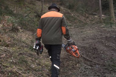 Ormanda bir ormancı, ormandaki bitki ve hayvanları yönetiyor.