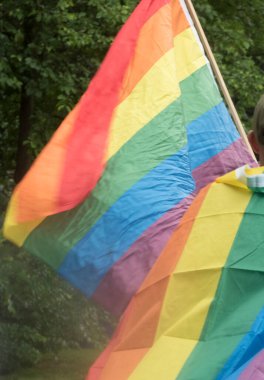 Cinsiyet Kimlikleri için sembol gökkuşağı bayrağıdır