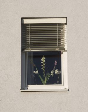 Dışarıyı izlemek ve içeri ışık almak için bir binanın penceresi.