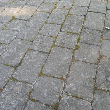 Bahçe yolu ya da bahçe yolu bahçe tasarımında önemlidir